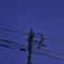 田舎の星空