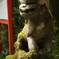 苔むした背
