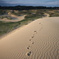 Foot stamps