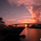 amazing harbor