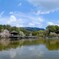 新緑の奈良公園