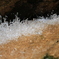 水