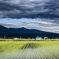 暗雲立ち込める