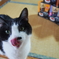 16歳になりました