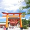 夏の伏見