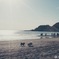 憩いの浜辺