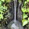 肥小滝
