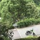 ライムグリーン