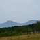 小岩井牧場