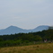 小岩井牧場