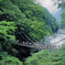 祖谷のかずら橋