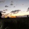 夕暮れ