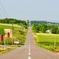 go straight