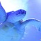 ウミガメ