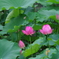 IMGP0872