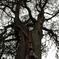 IMGP0926