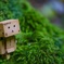 苔とダンボー