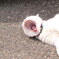余裕なんだね