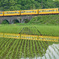 三岐鉄道　めがね橋