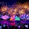 夜空の花乱舞