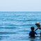 海