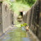 排水路