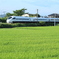 グリーンだよ(^^)/
