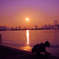 お台場の夕方