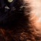 ノアどアップ