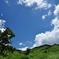 高原の夏