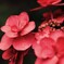 紫陽花