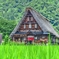 日本の夏・・・五箇山の夏