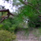 六義園