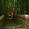 化野念仏寺・竹林の小道