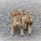 また明日ね～ウッキッキ～ヾ(≧∇≦)