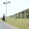 風の強い夏の日