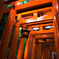 Welcome to Senbontorii !