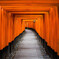 Welcome to Senbontorii !　Ⅱ