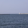 SDIM7376