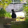 IMGP0698