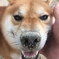 きったねー