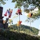 安芸門徒のお盆