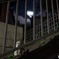 夜Cat