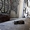 難波Cat