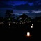 燈花会2017興福寺②