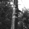 電柱