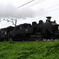 東武鉄道SL大樹