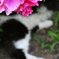 日陰でまったり