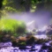 stream