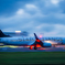 STAR ALLIANCE of the NIGHT